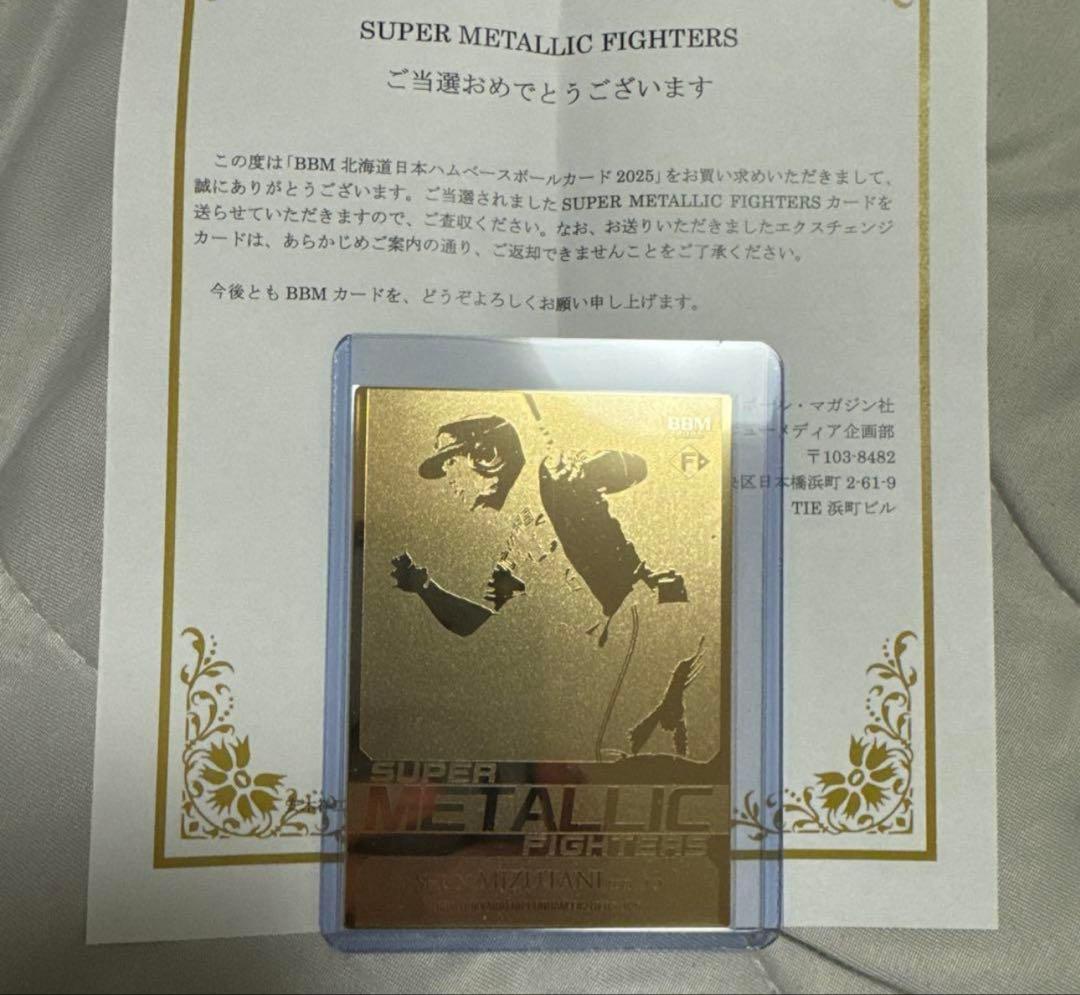 匿名即日発送　水谷瞬　SUPER LLIC FIGHTERS 新品