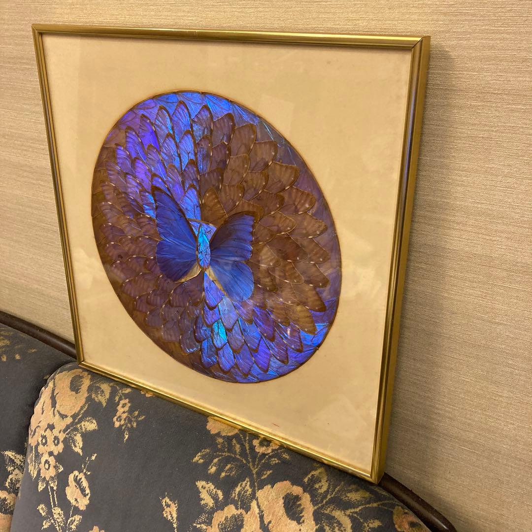 モルフォ蝶　貼り絵　アート
