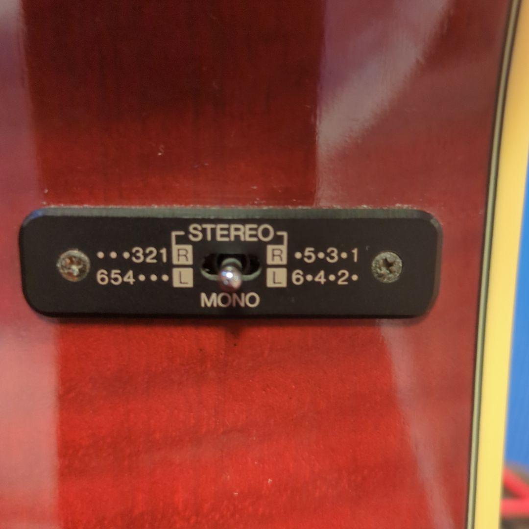 YAMAHA APX-10CS ハードケース付属