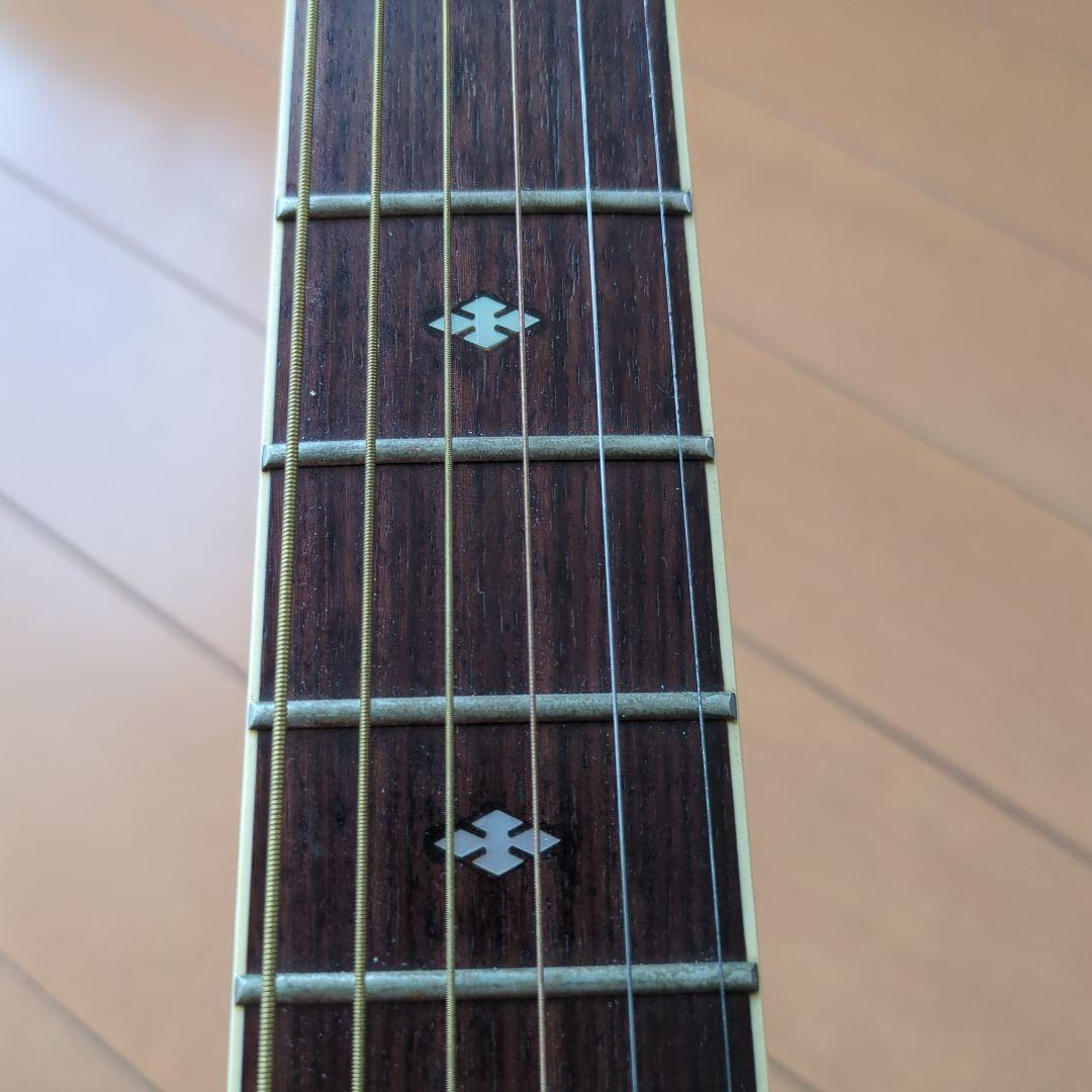 YAMAHA APX-10CS ハードケース付属