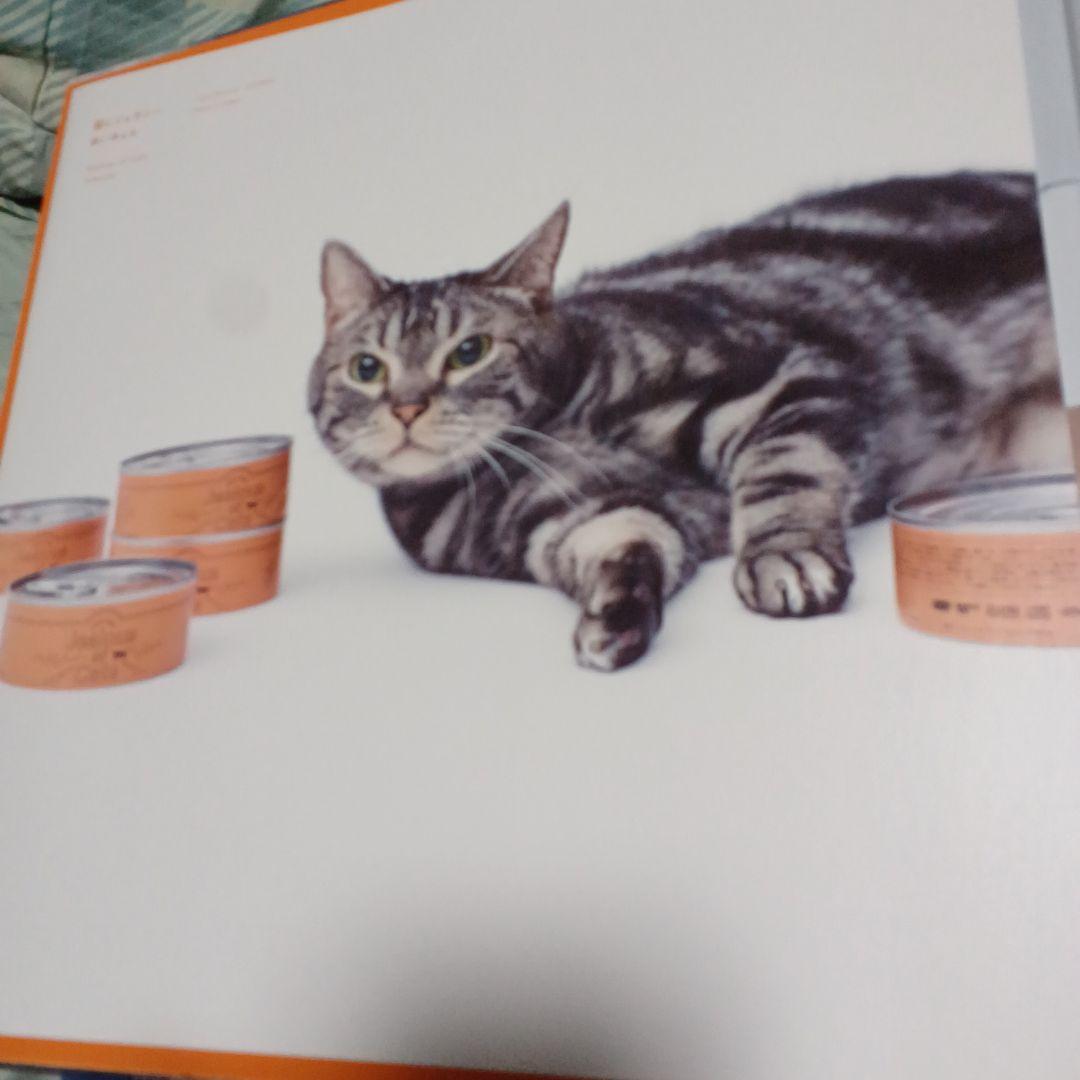 あいみょん 5th Full Album 猫にジェラシーAIM完全生産限定盤