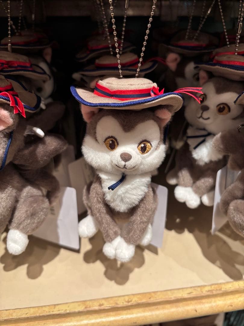 すたぁどりーむ@ プロフ確認お願いします