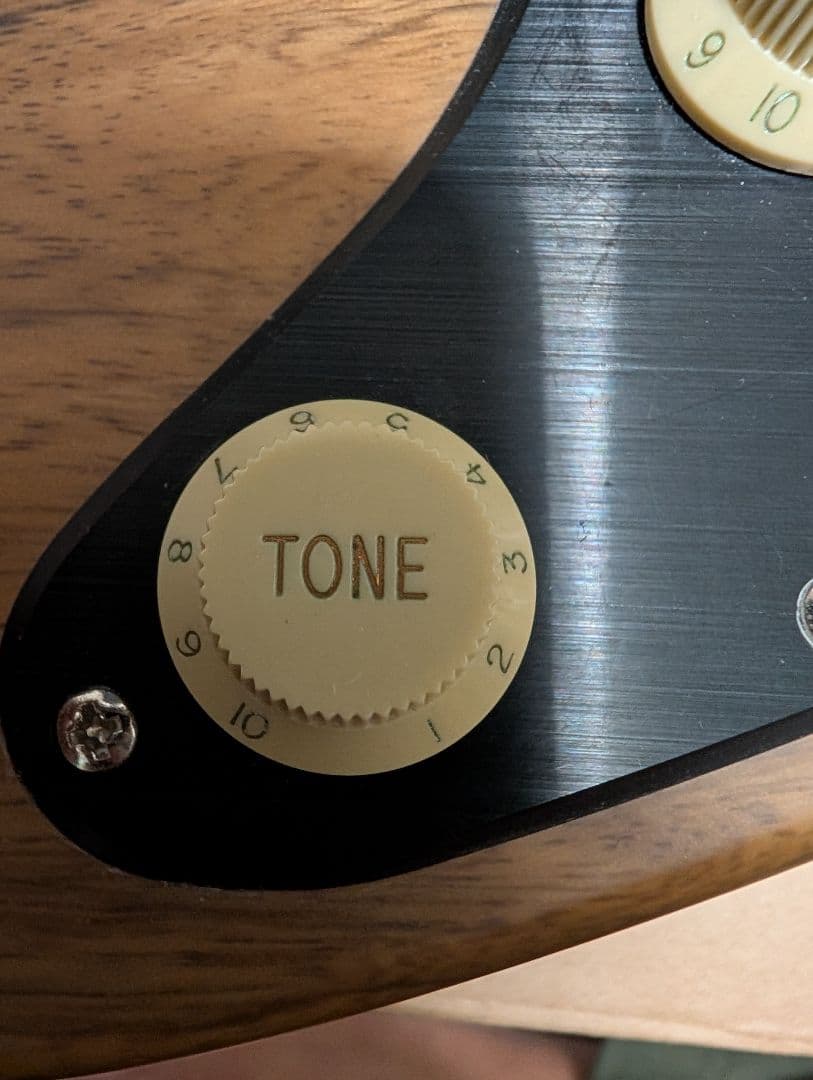 (最終値下げ)Schecter SVSS エレキギター•ハードケース付