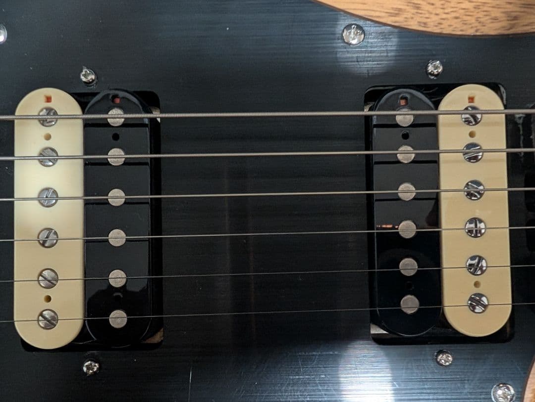 (最終値下げ)Schecter SVSS エレキギター•ハードケース付