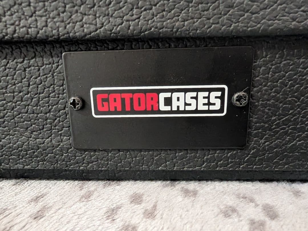 (最終値下げ)Schecter SVSS エレキギター•ハードケース付