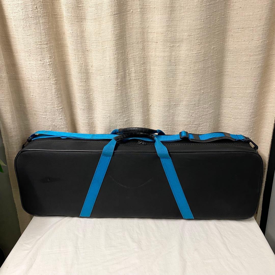 Bam バム バイオリンケース