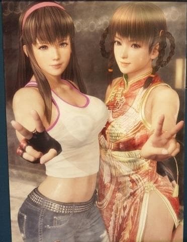 DEAD OR ALIVE6 デッド オア アライブ 6 非売品 ポスター全5種