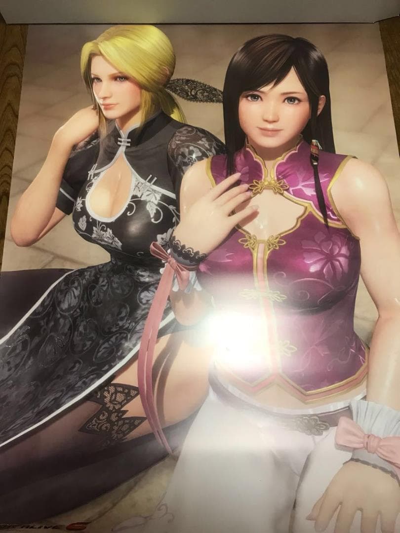 DEAD OR ALIVE6 デッド オア アライブ 6 非売品 ポスター全5種