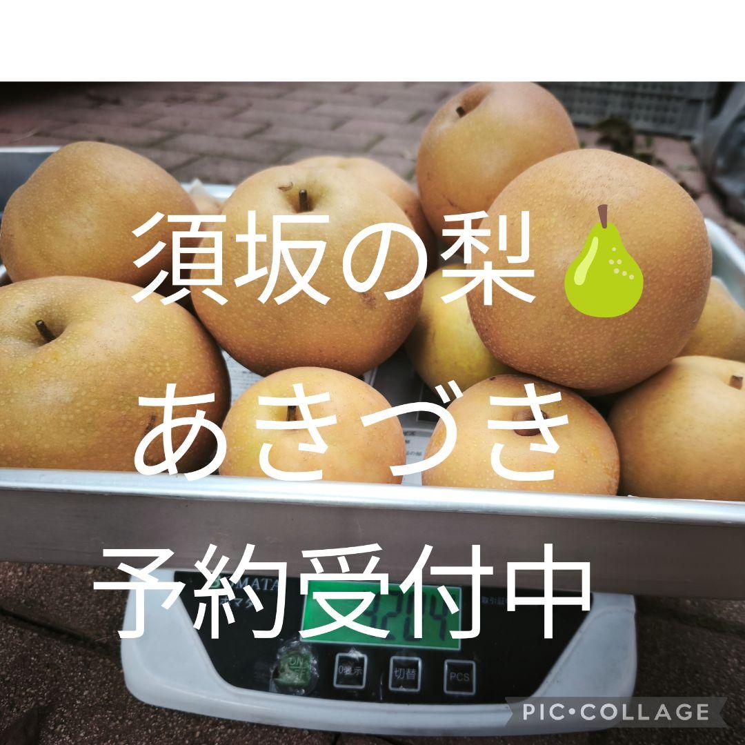 【須坂の梨　あきづき】予約承ります