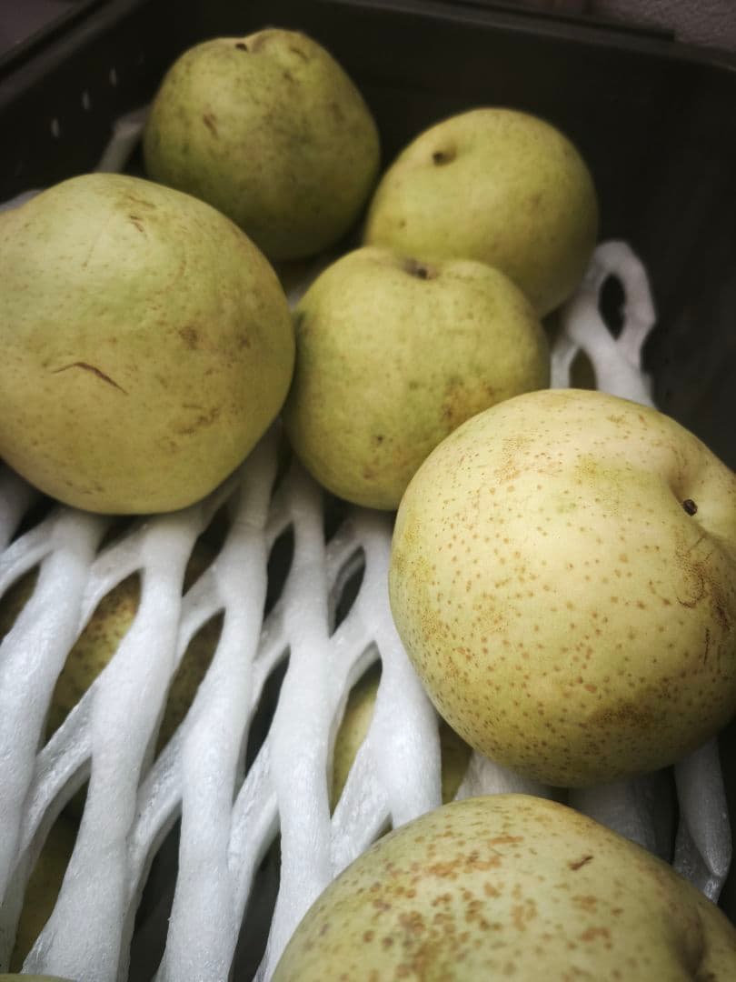 【須坂の梨　あきづき】予約承ります