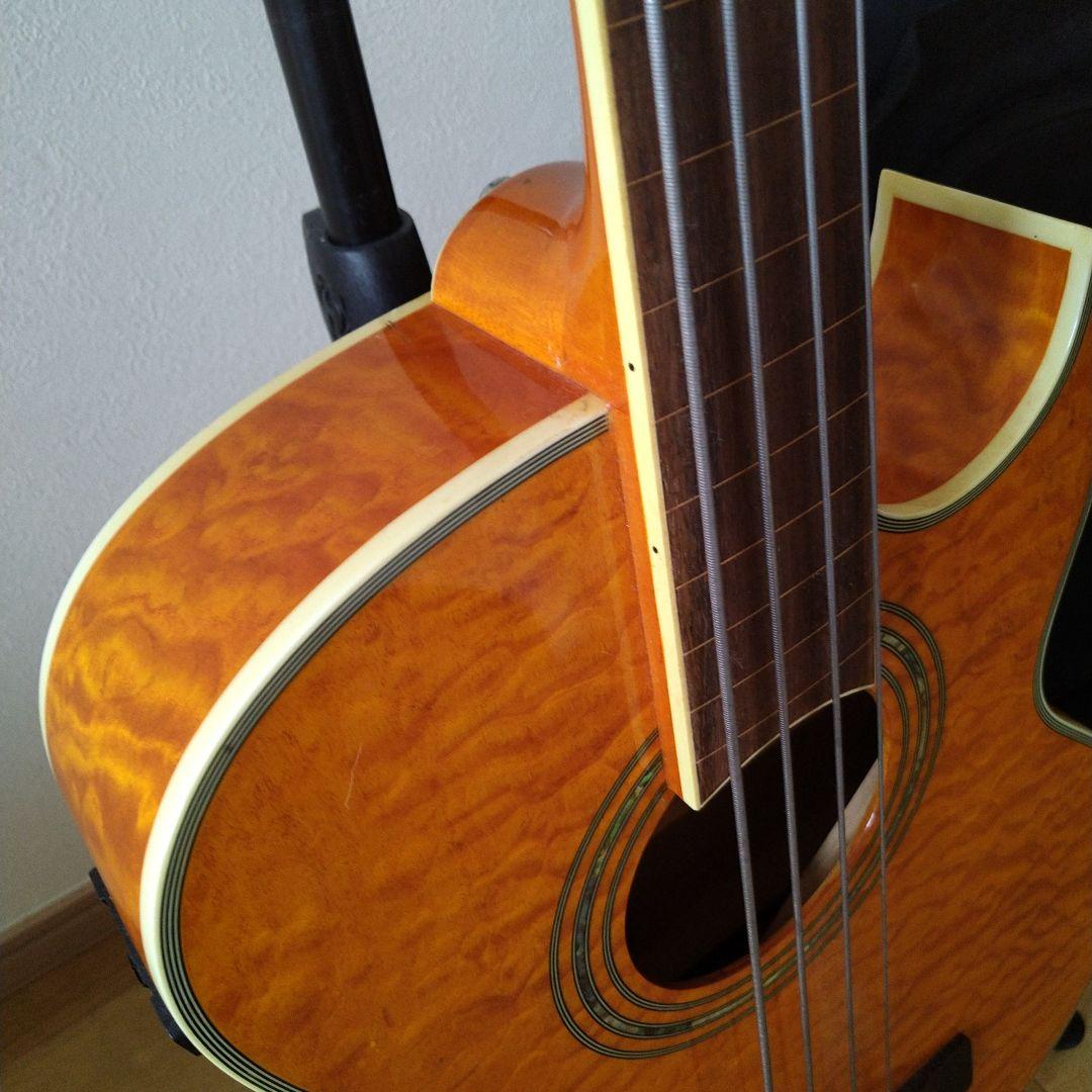 エレアコ・フレットレスベース 　Ｇreg Bennet AB-11CE/FL