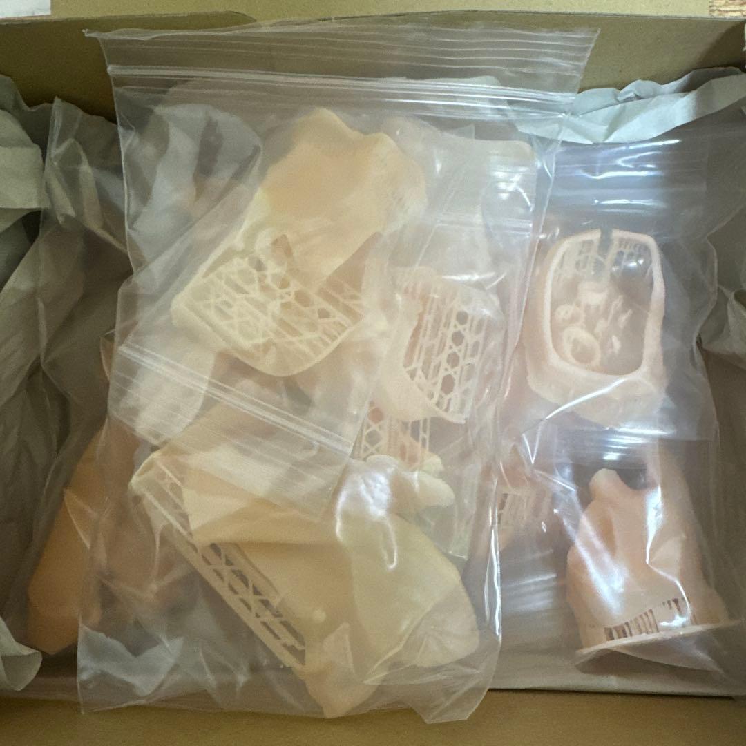 ナディア　セミリアル　1/6スケール　ガレージキット