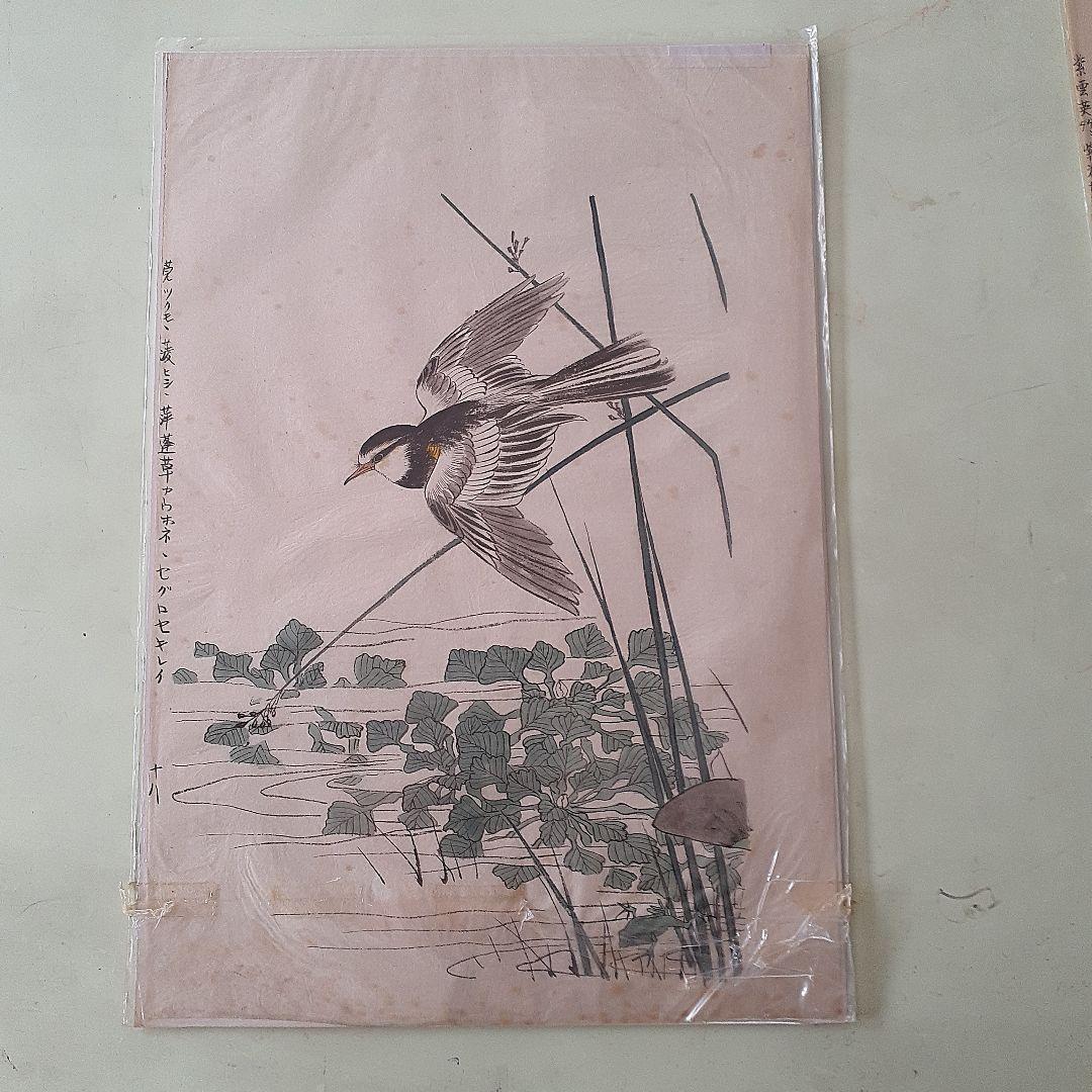 国本空山の肉筆画７枚