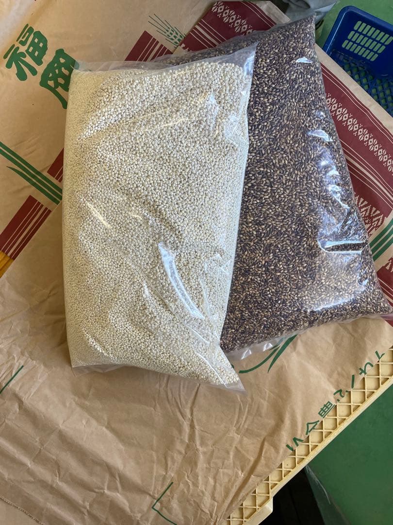 木蓮　もち麦セット精麦無し