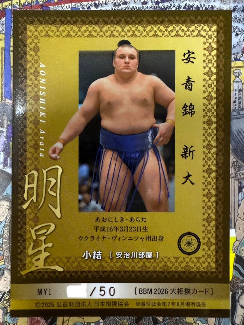 大相撲 BBM 2026 SUMO CARDS インサートカード　明星　安青錦
