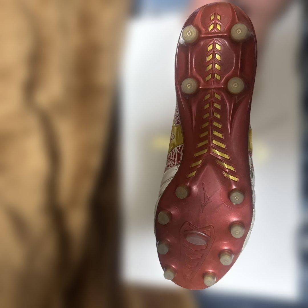 セルヒオ・ラモスのモレリネオ4ベータJAPAN