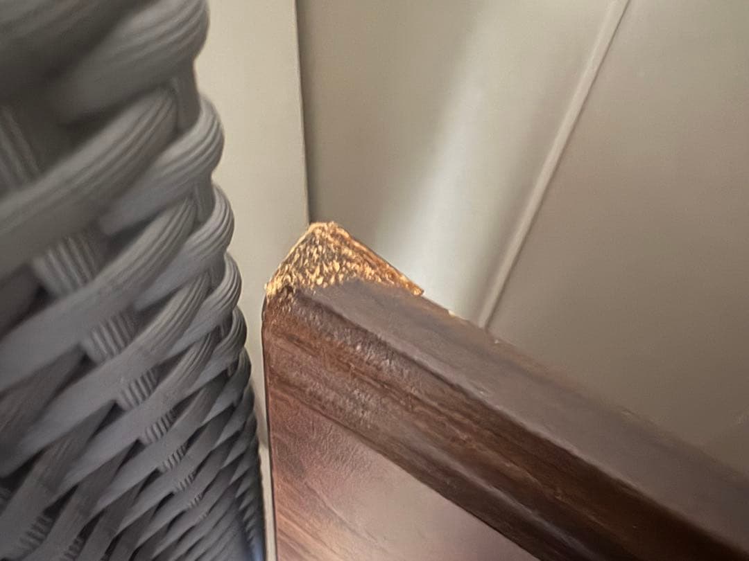 激レア！ブルージェイズ ワールドチャンピオン記念プレート 1992年　大リーグ