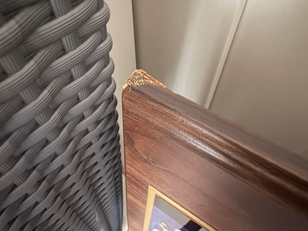 激レア！ブルージェイズ ワールドチャンピオン記念プレート 1992年　大リーグ