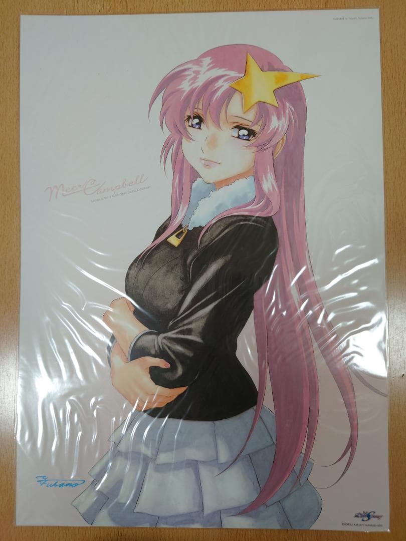 機動戦士ガンダムSEED DESTINY ミニポスター 5枚セット