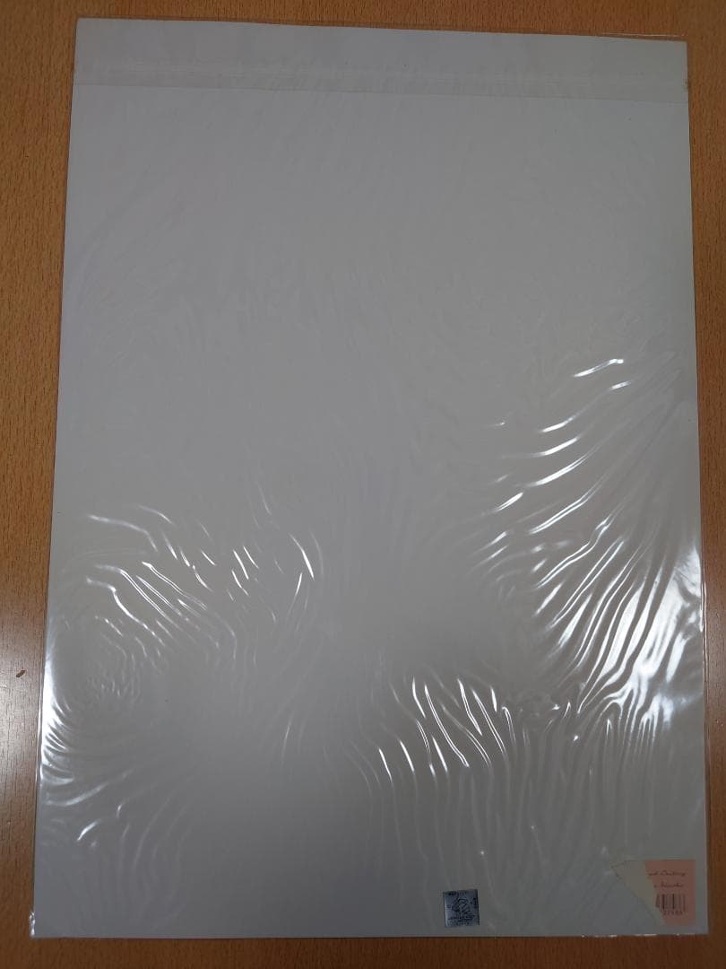 機動戦士ガンダムSEED DESTINY ミニポスター 5枚セット