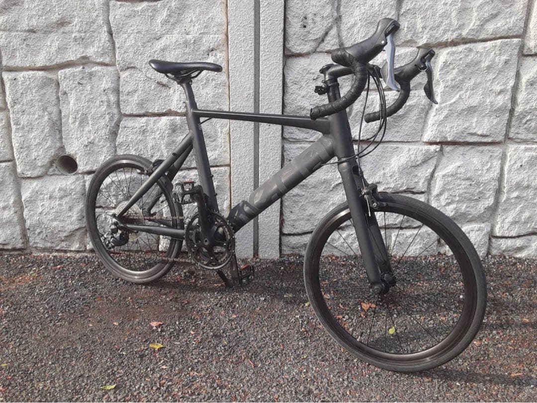 フラワー 　TERN ( ターン ) SURGE