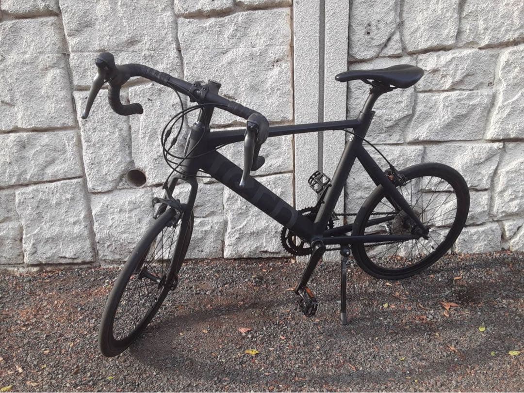 フラワー 　TERN ( ターン ) SURGE