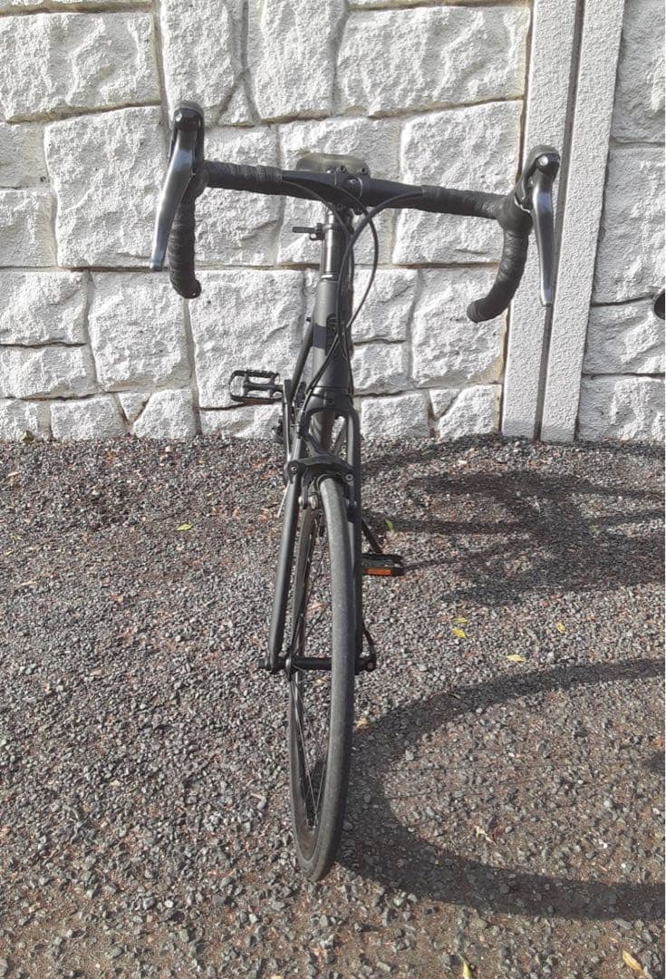 フラワー 　TERN ( ターン ) SURGE