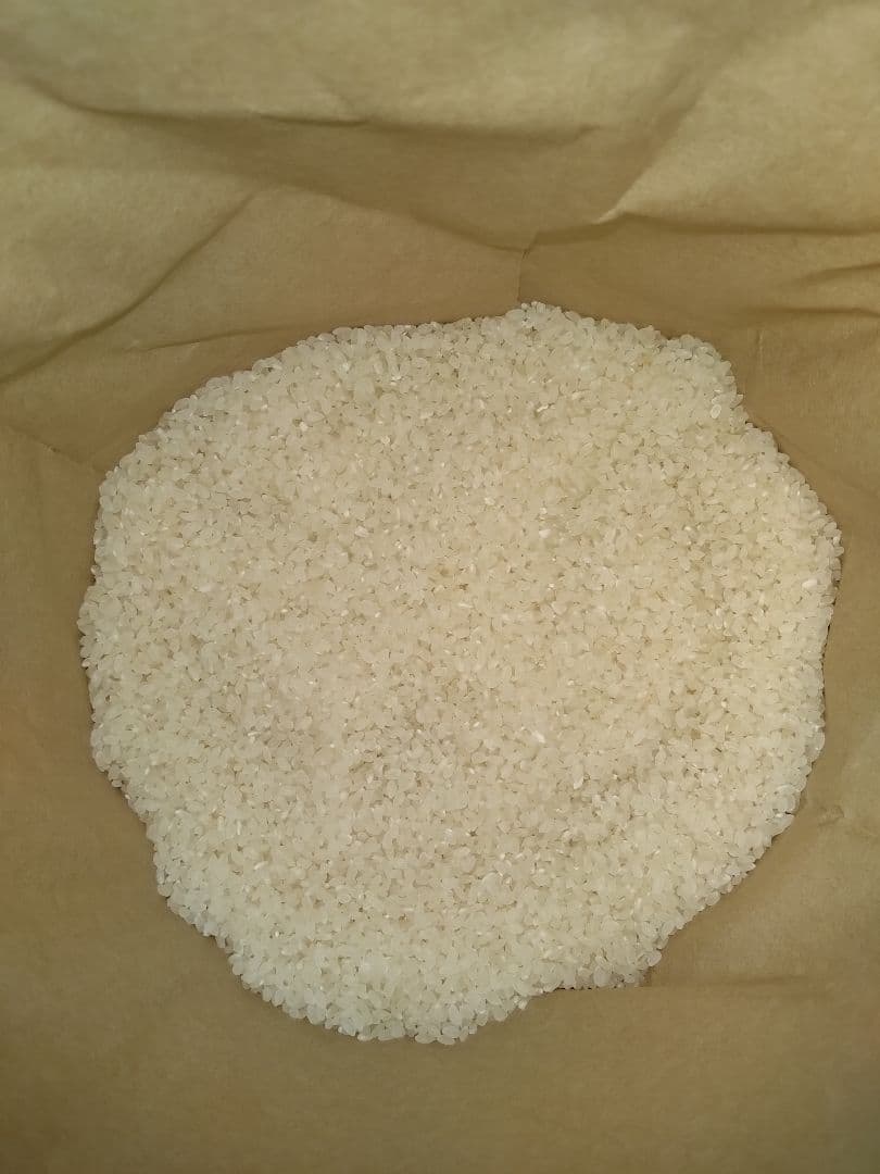 令和7年産　雪若丸　10kg　自然乾燥米