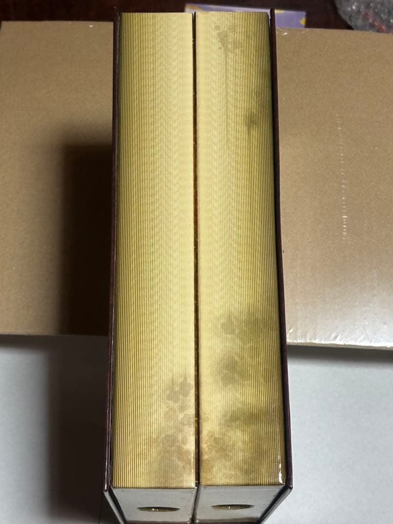 コミコン　限定　2pak　G.I. ジョー　デストロ　ジェームズ・マッカラン９世