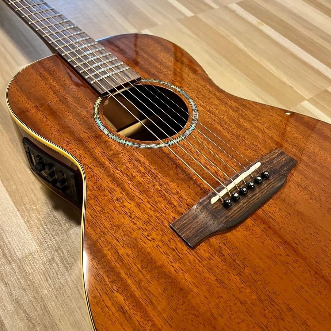 【11153】DREAM COMES TRUE DCT F-200E