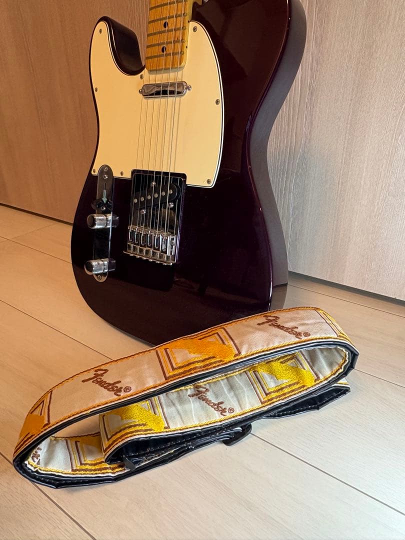 Fender Mexico テレキャスター　レフティ