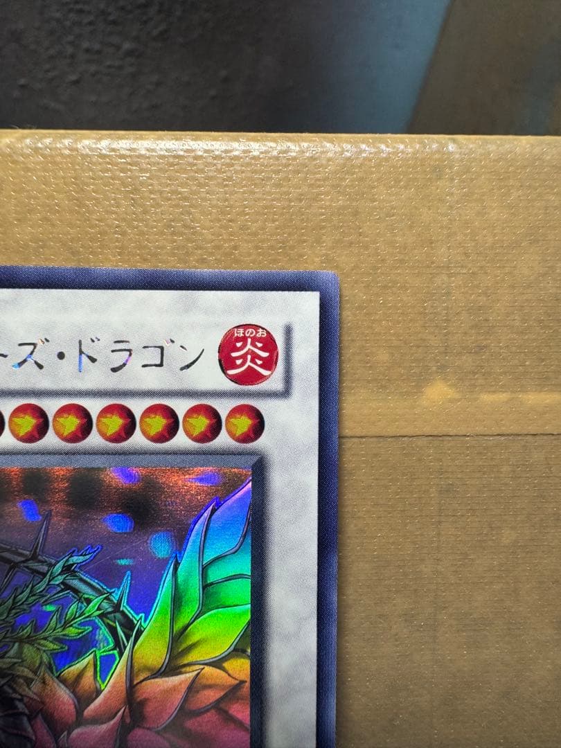 ブラック・ローズ・ドラゴン　ホロ