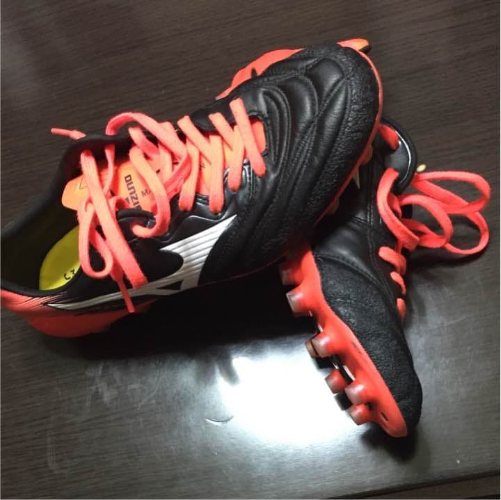 モナルシーダneo2Japan