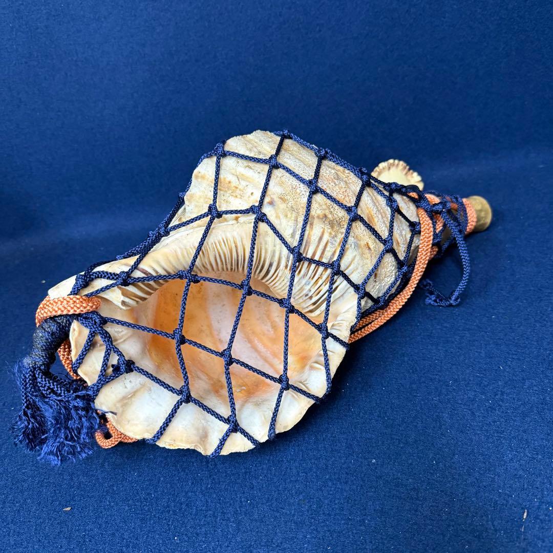 特大 ホラ貝 法螺貝 螺貝 ラッパ 雅楽 和楽器 古玩 旧家 蔵出 骨董品