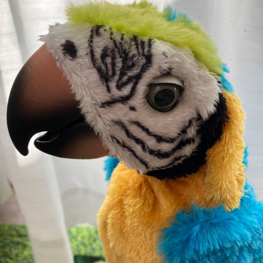 夢おうむ　ぬいぐるみ　いんこ　セガトイズ　鳥　野鳥　南国　本体のみ　リモコンなし