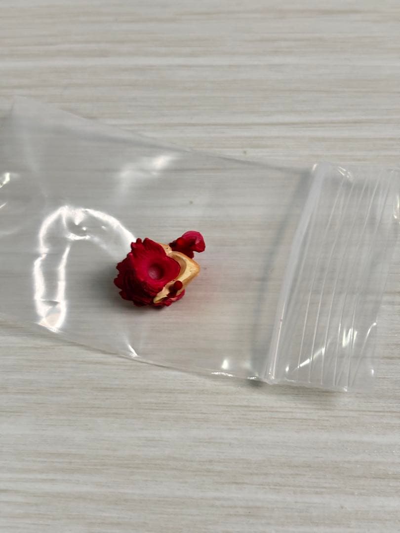 個体差良好 超像可動 花京院典明 フィギュア ジョジョの奇妙な冒険