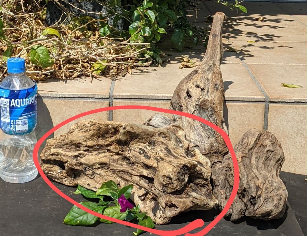 KKページ（10本+4セット）