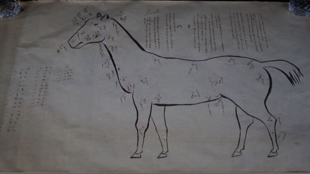 時代 馬学 巻物 まくり 4枚 和本 墨書 馬医書 馬療図 古文書 資料 戦前