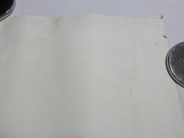 PUSHEADパスヘッドcocobatココバットグラスホッパーポスター９８年製