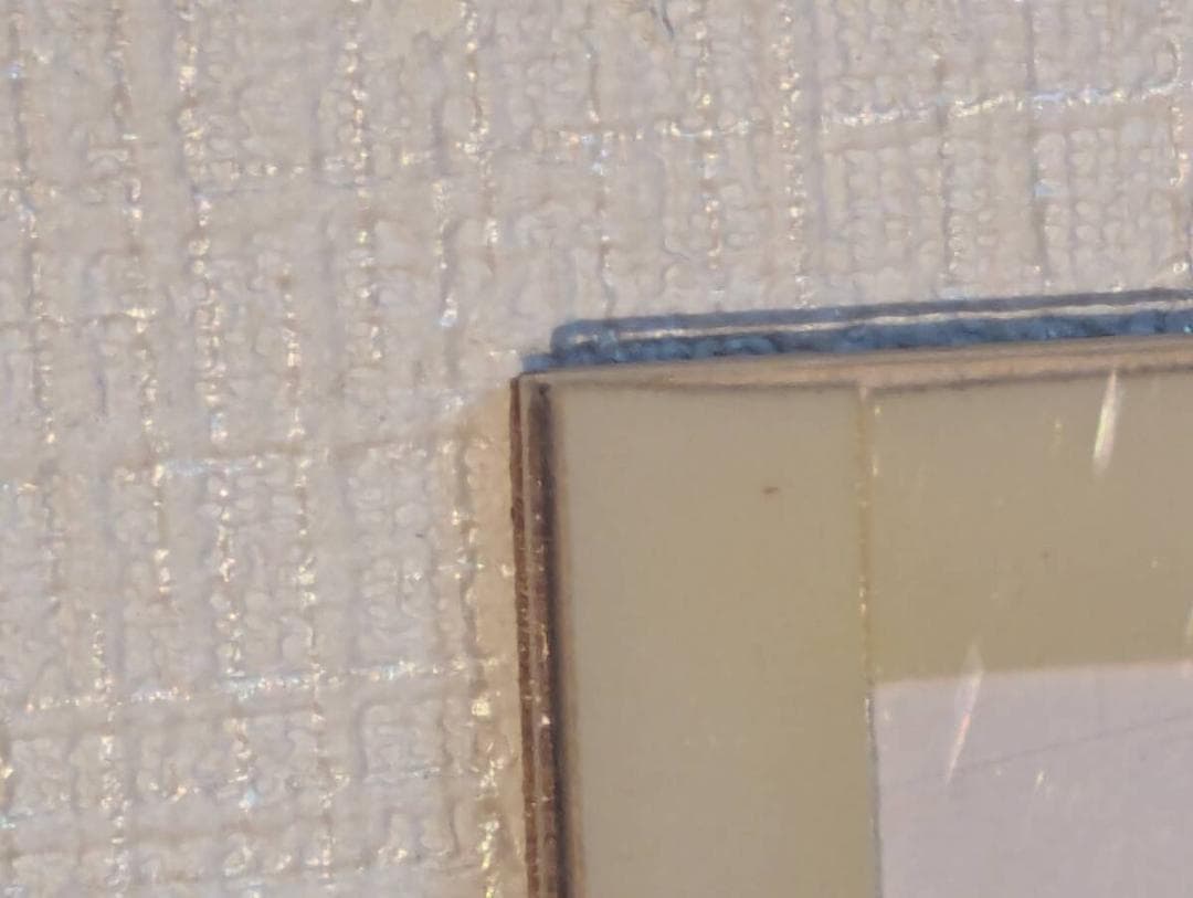 【真作】版画　木版画　扇魚　ユーモラスな魚モチーフ　個性あふれる魚たち　Y44