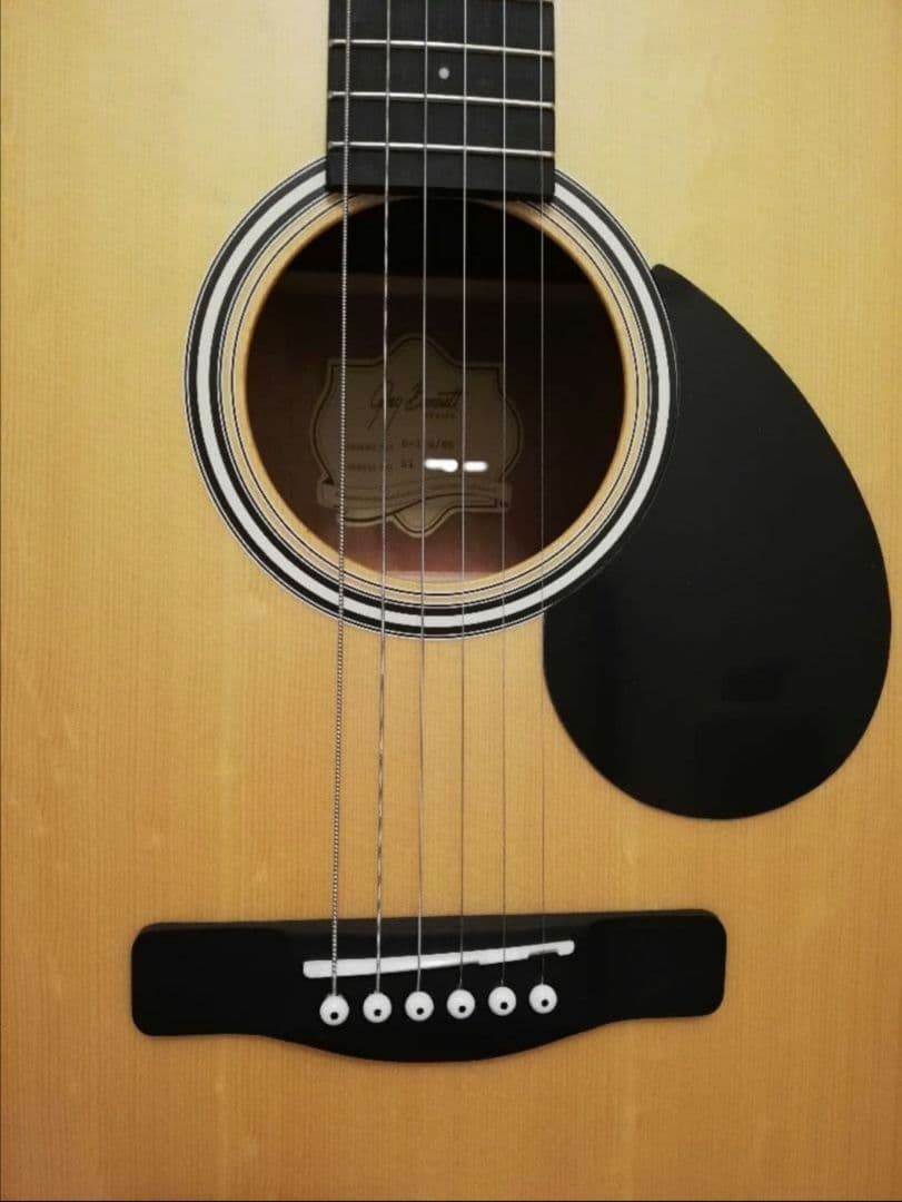 Greg Bennett D-310　アコースティック・ギター　アコギ