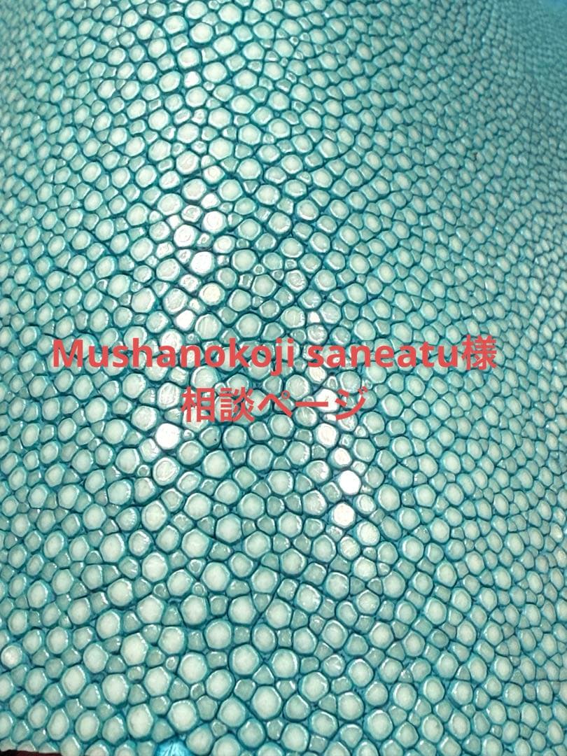 Mushanokoji saneatuです!