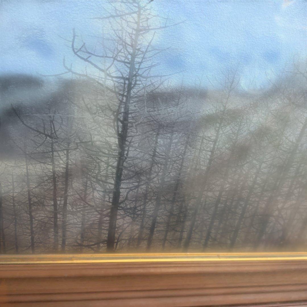 南部陽一郎　厳峰富士 　朝富士　日本画 木製フレーム　油絵