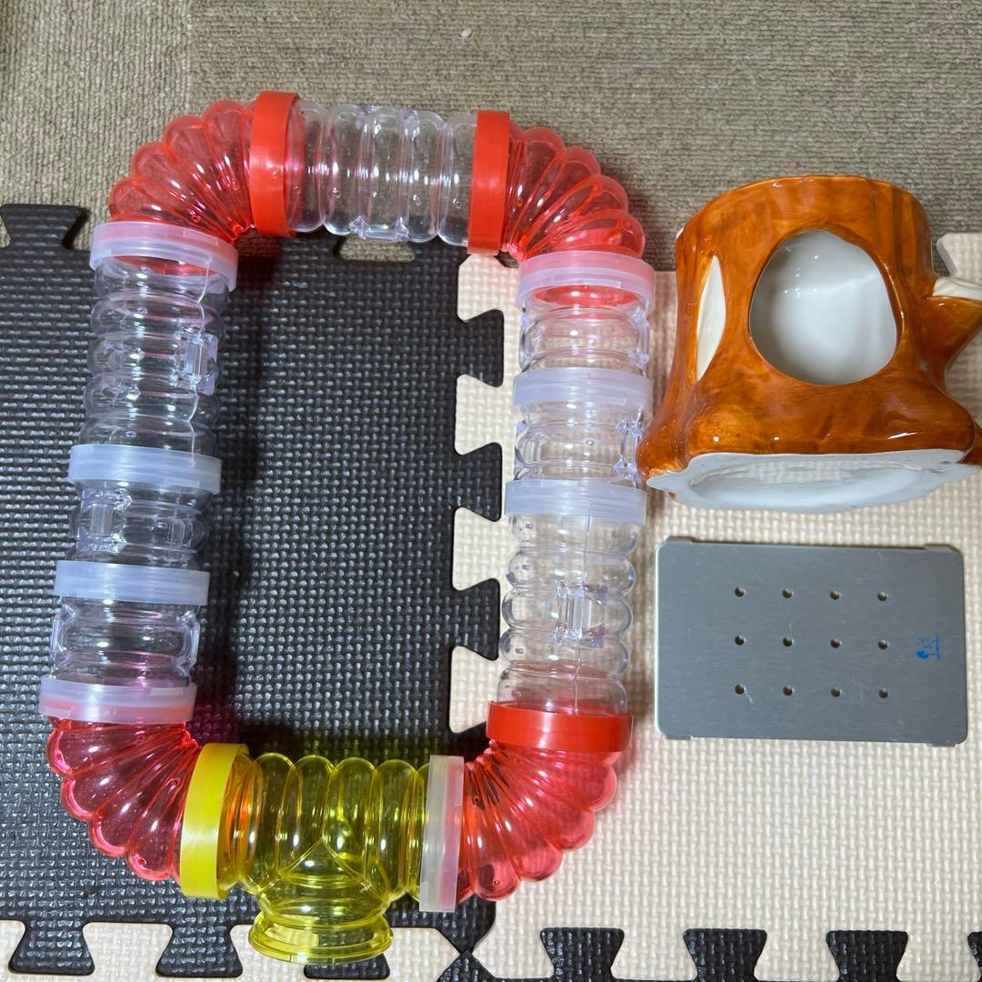 ルーミィ60 小動物　ハムスター　セット