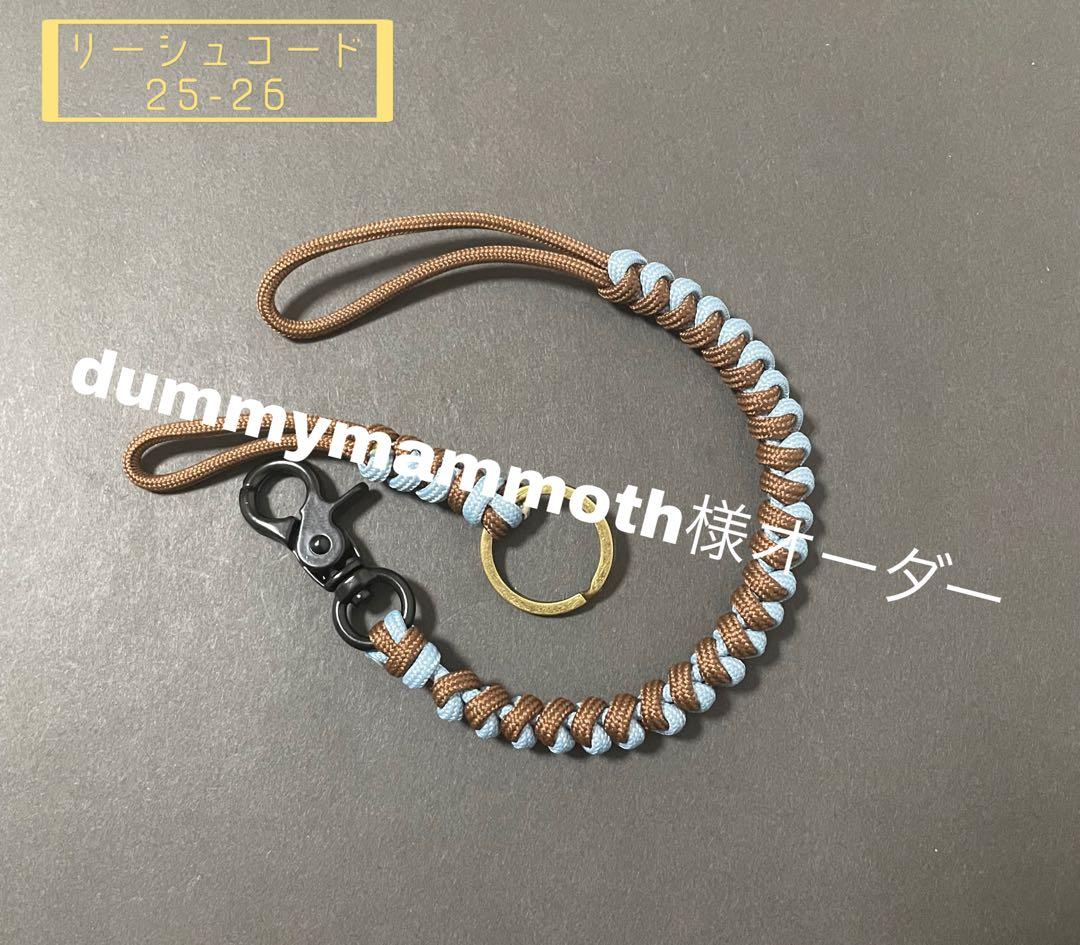 yellow_eg6ページ スキー スノーボード用リーシュコード