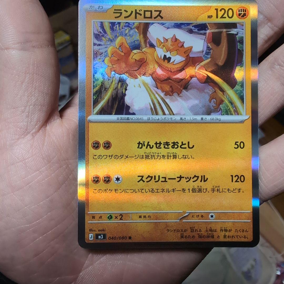 ランドロス Rエラー