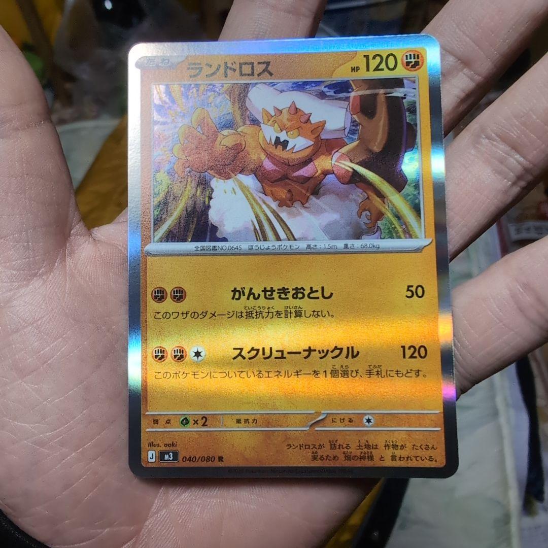 ランドロス Rエラー