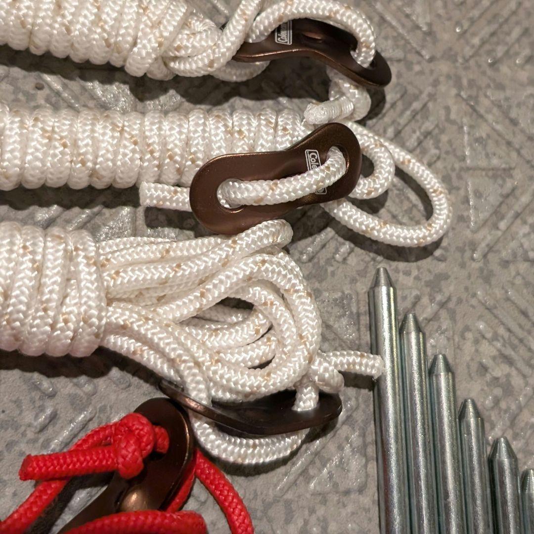 【都内から即日発送可能】マスターシリーズ コクーン３