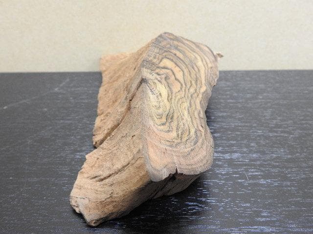 香木　真那賀　MA32