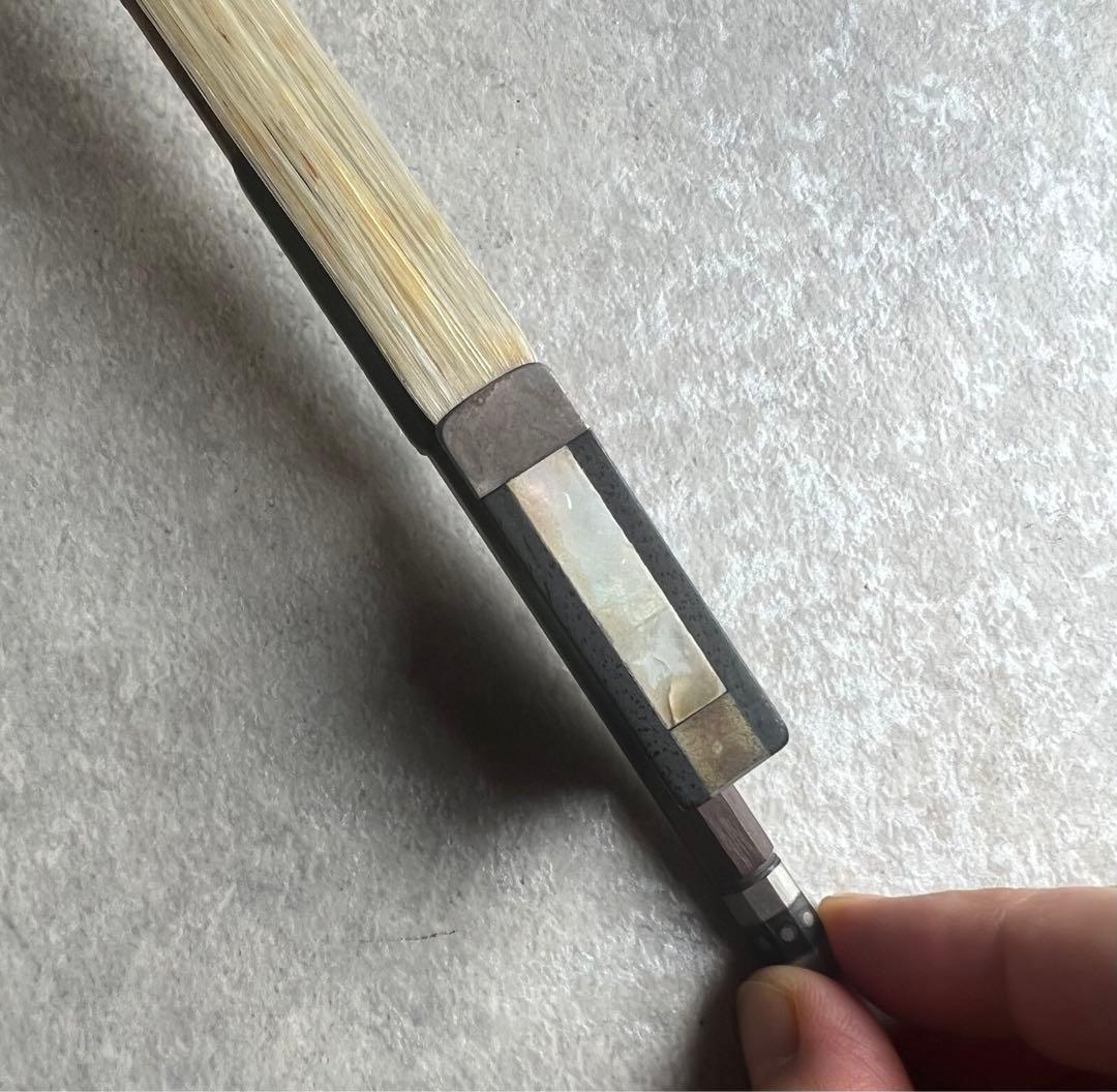 VIOLA BERND DOLLING ★★★